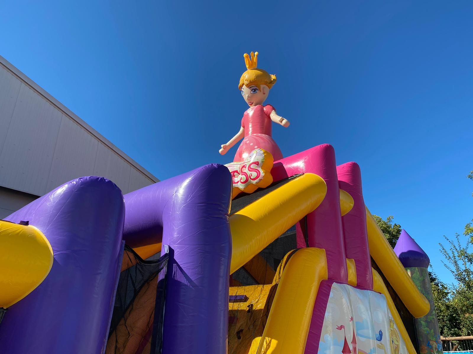 Standaard Prinsesbaan Afbeelding