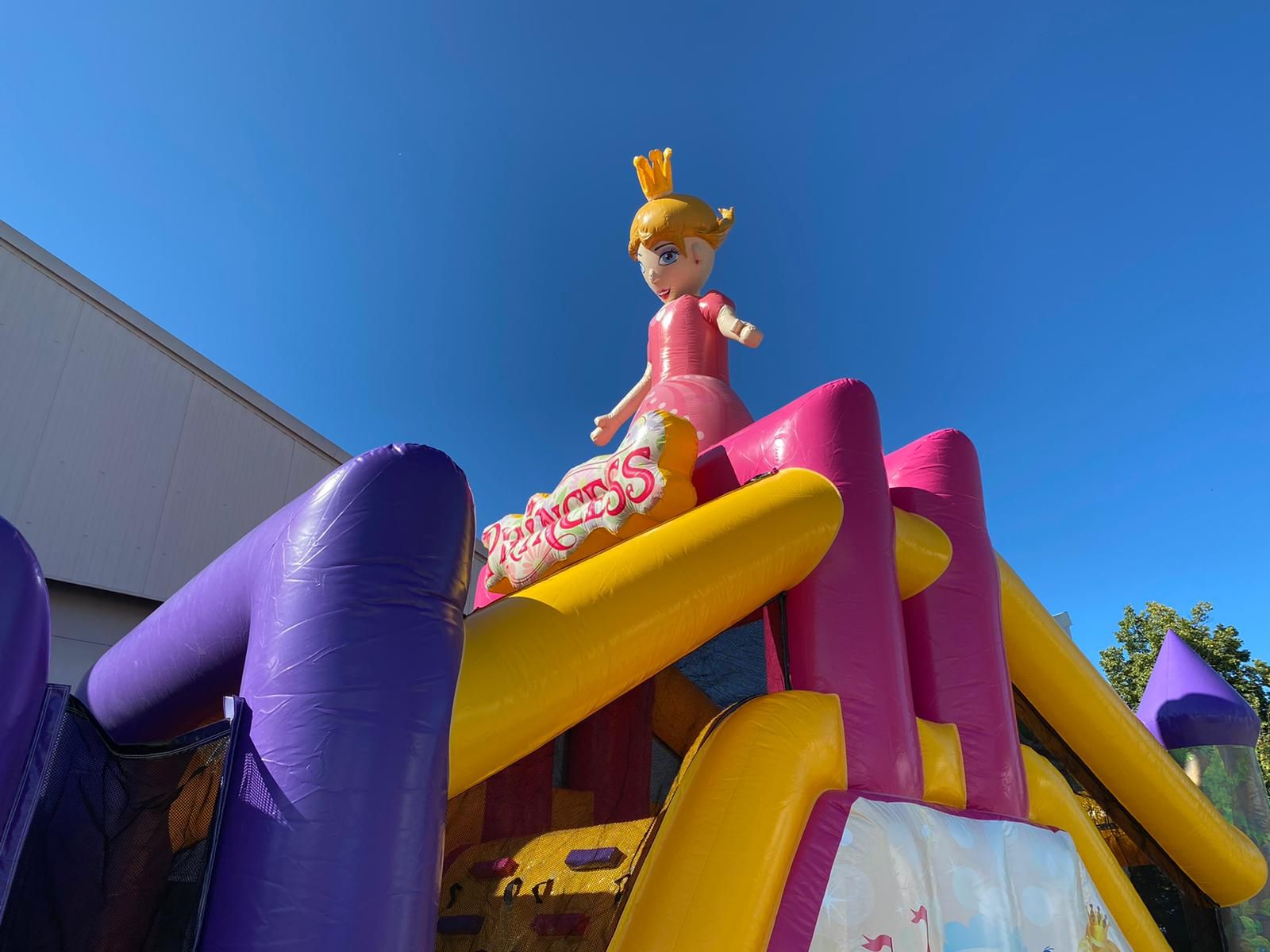 Standaard Prinsesbaan Afbeelding