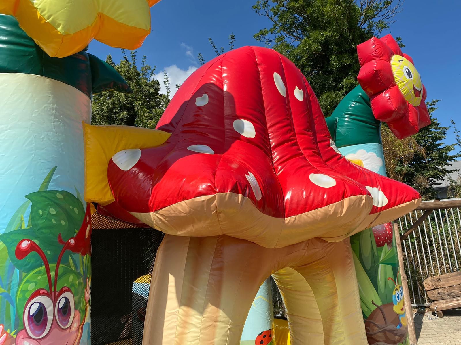 Multiplay Combo Mini Frühling Bild