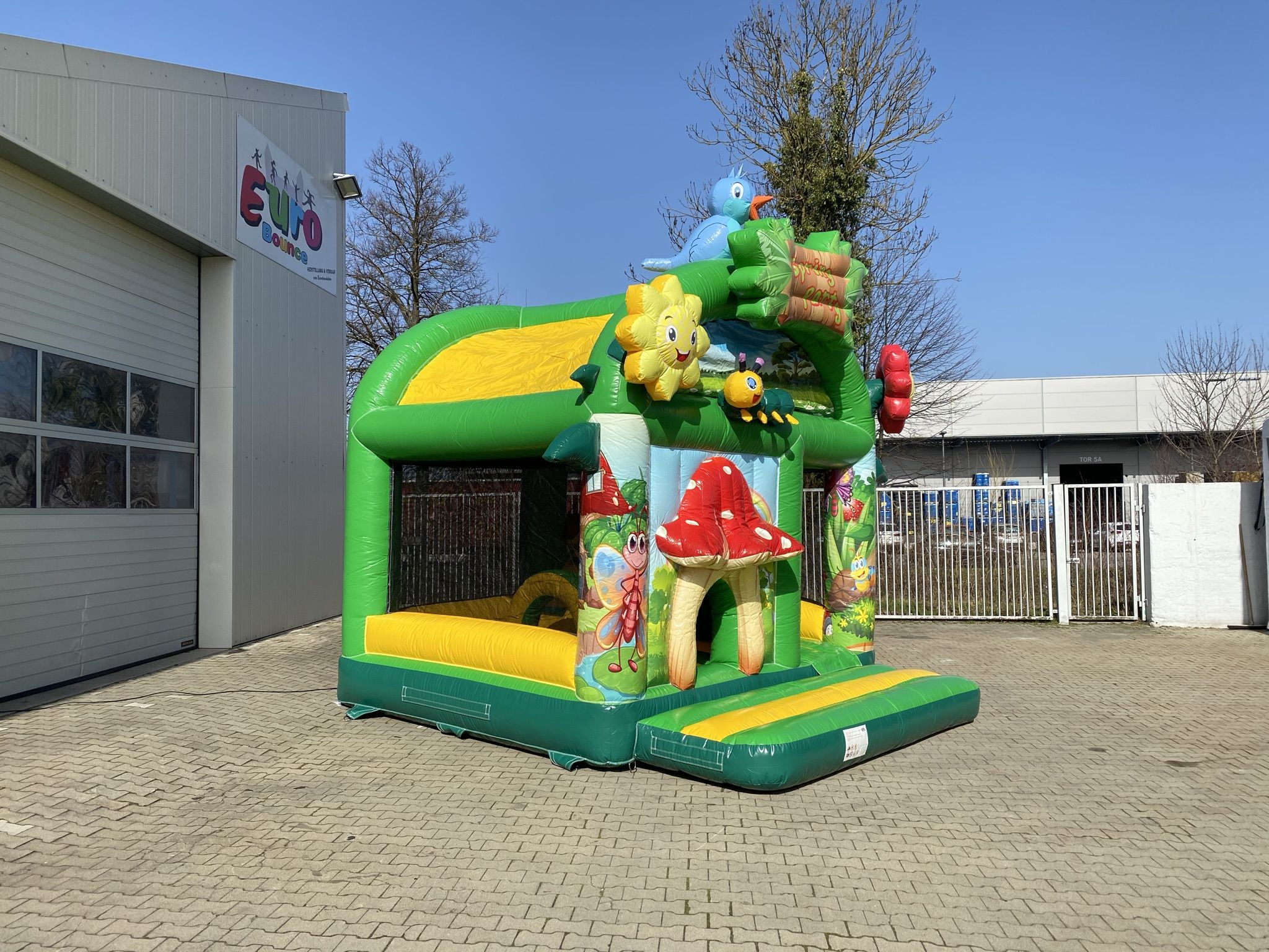 Multiplay Combo Medi Frühling Bild