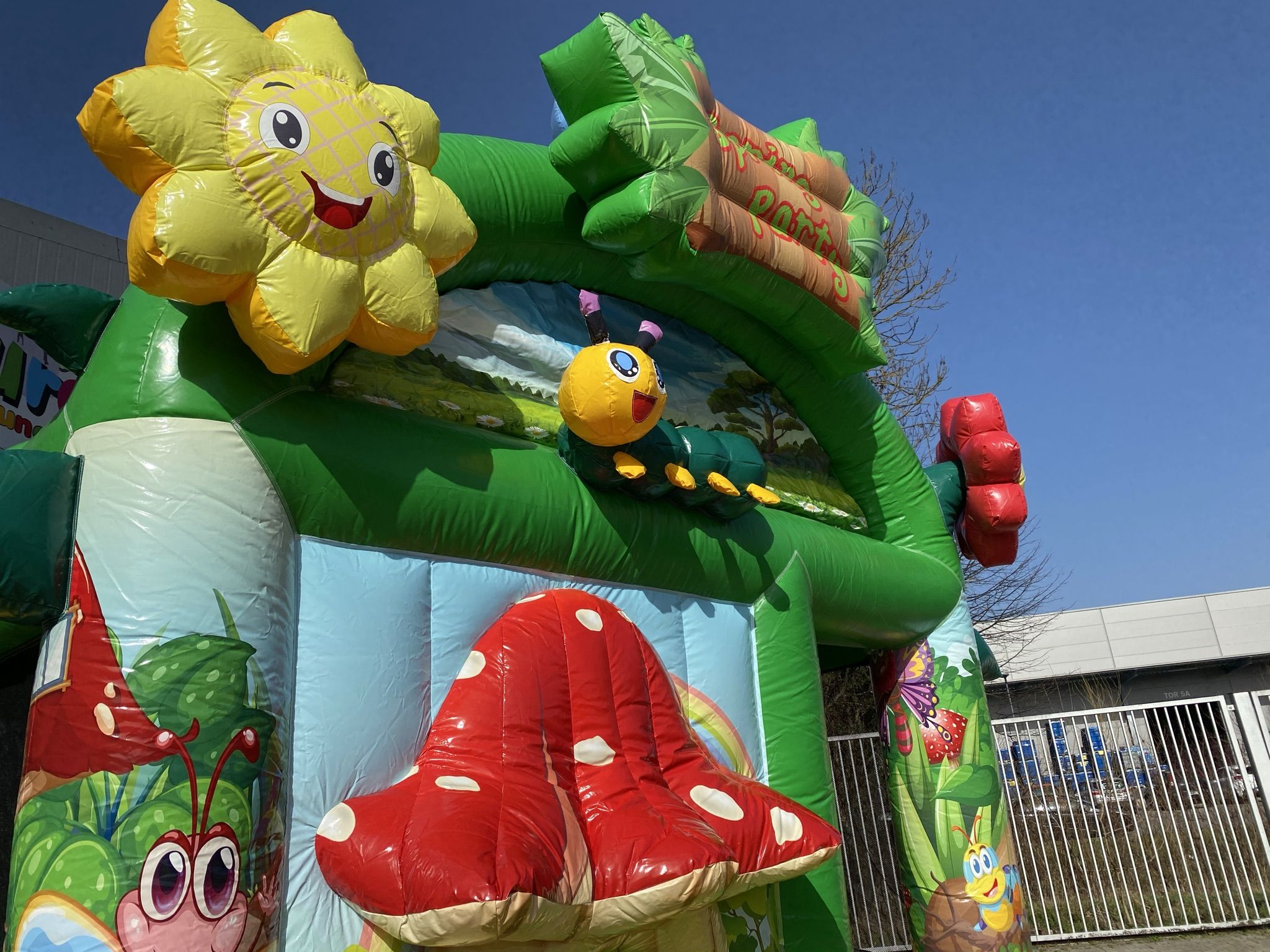 Multiplay Combo Medi Frühling Bild