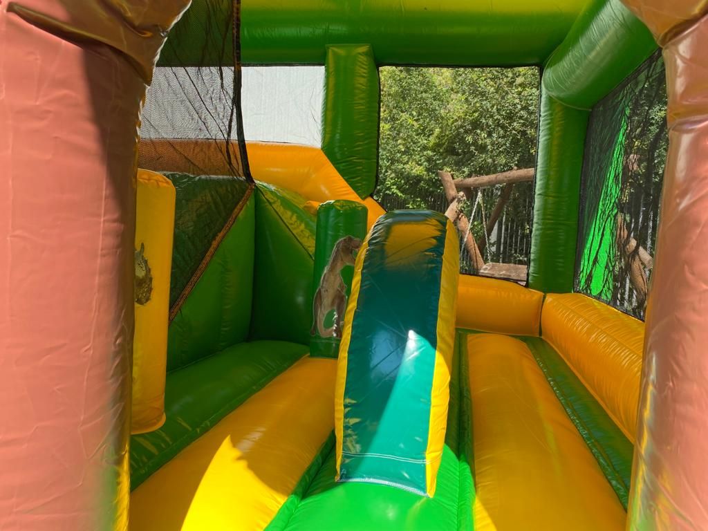 Multiplay Combo Maxi Dino Bild