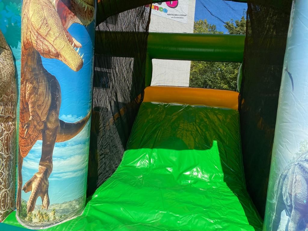 Multiplay Combo Maxi Dino Bild