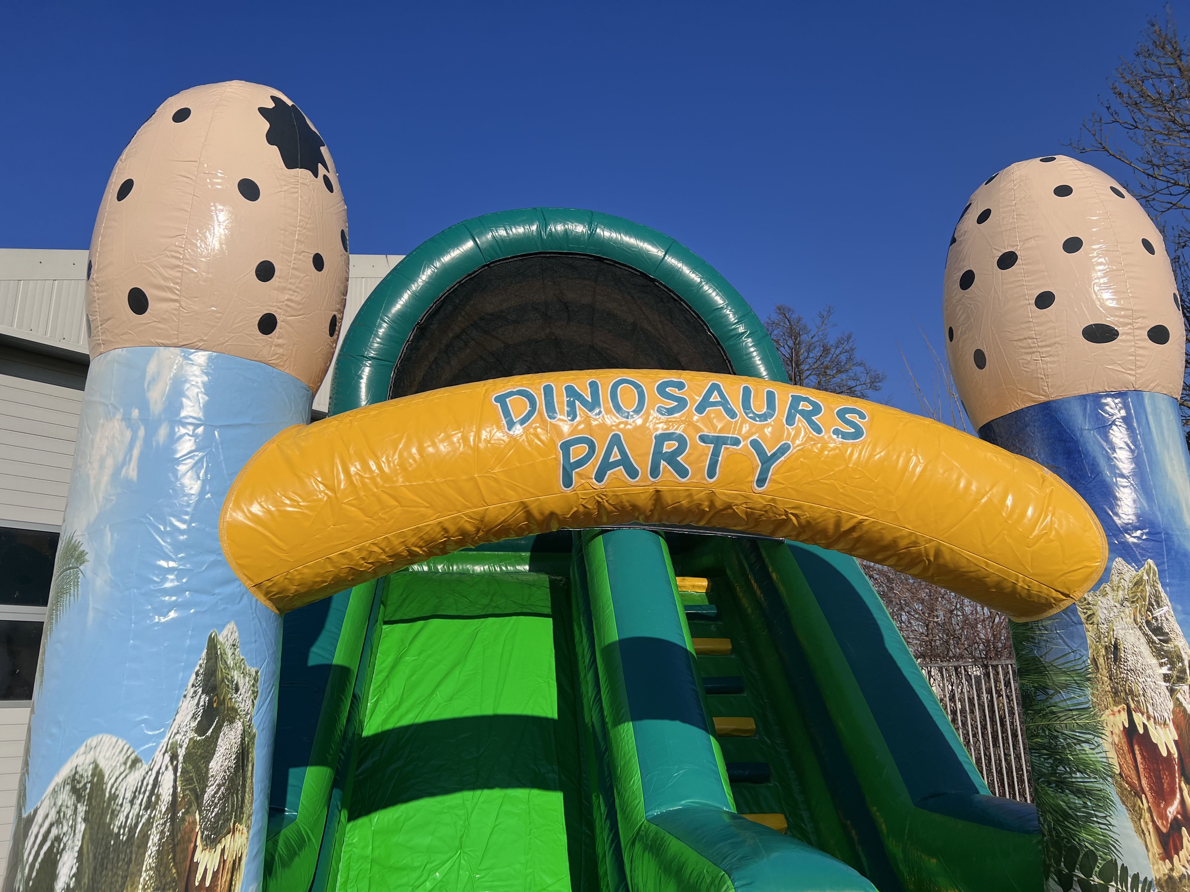 Mini Slide Dino Image