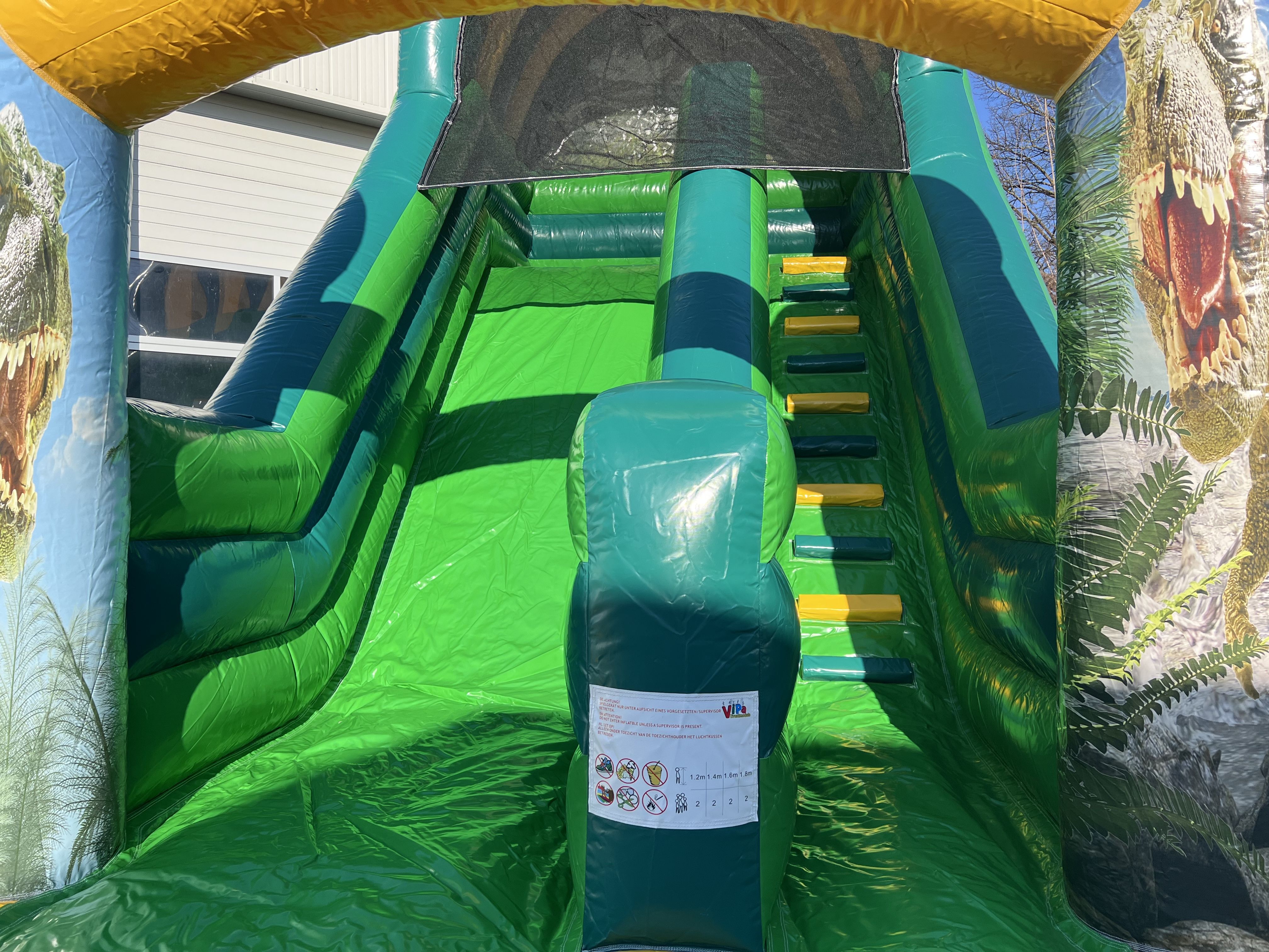 Mini Slide Dino Image