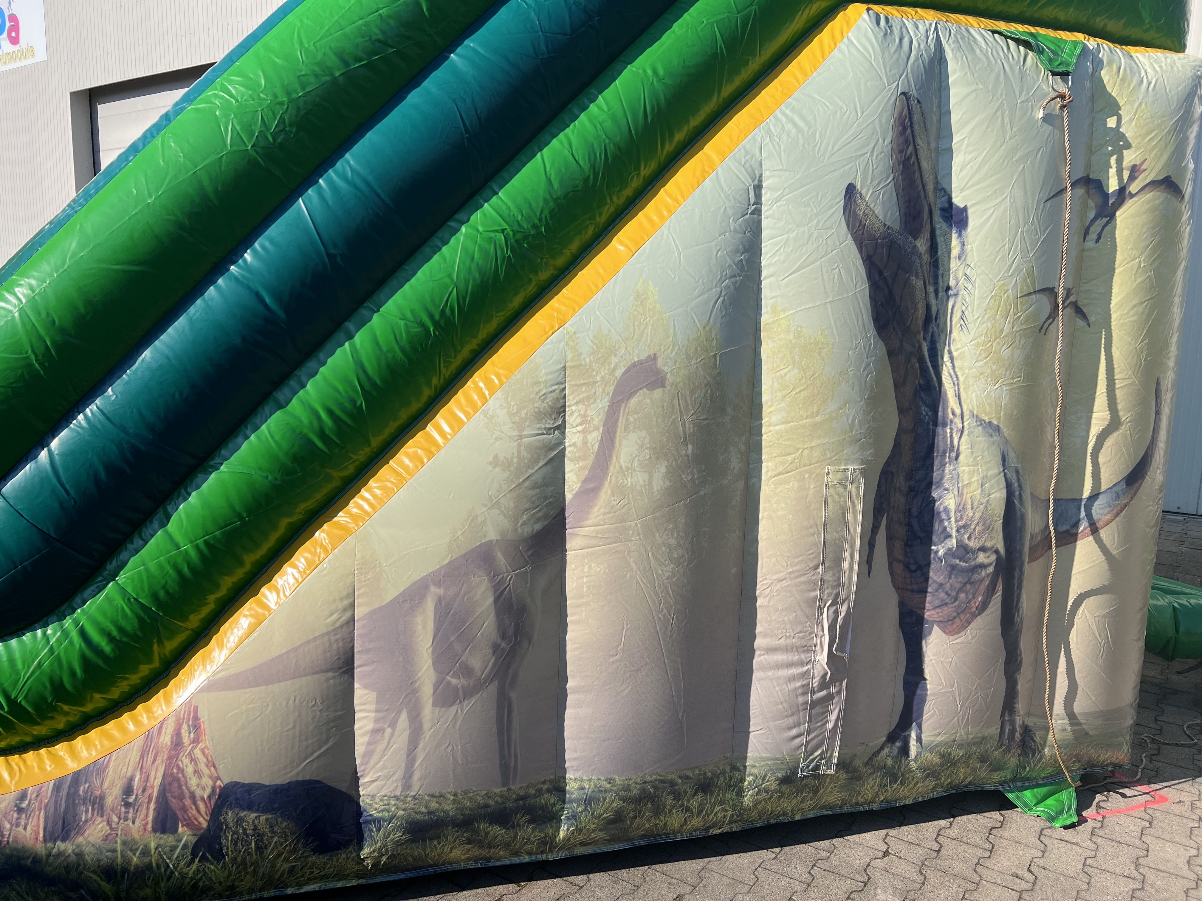 Mini Slide Dino Image