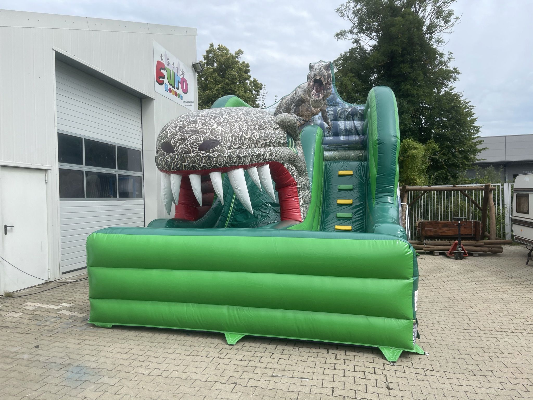 Standard Slide Dino Image