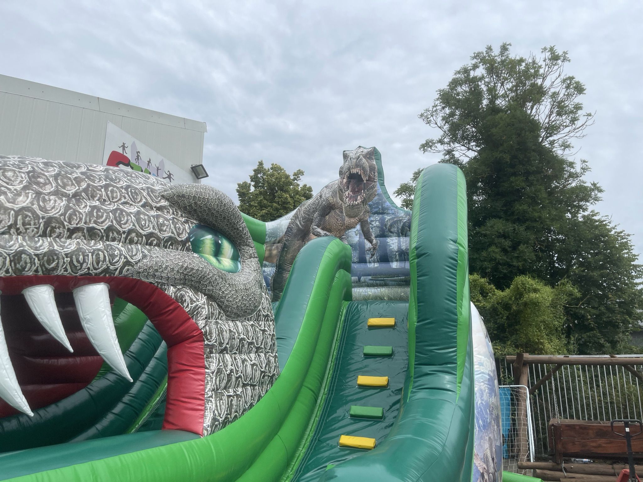 Standard Slide Dino Image