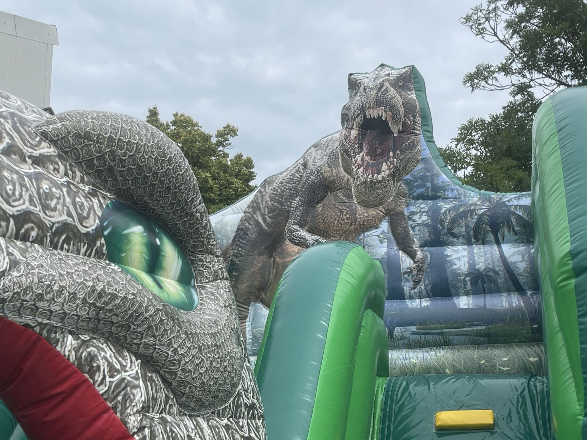 Standard Slide Dino Image
