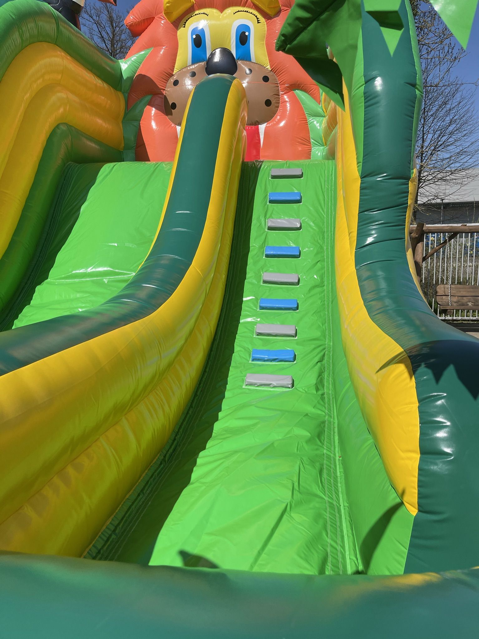 Rutsche Standard Dschungel Bild