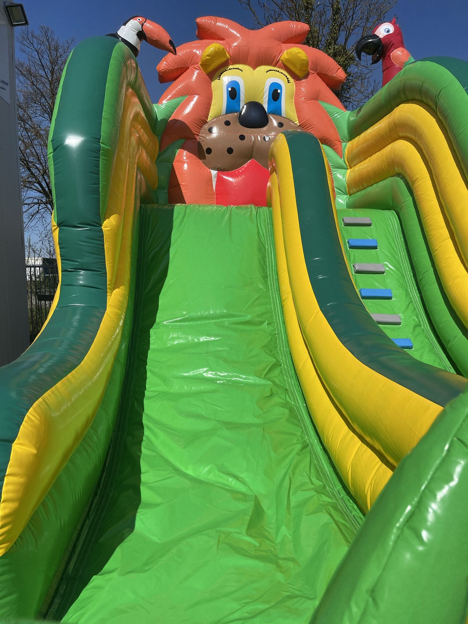 Rutsche Standard Dschungel Bild