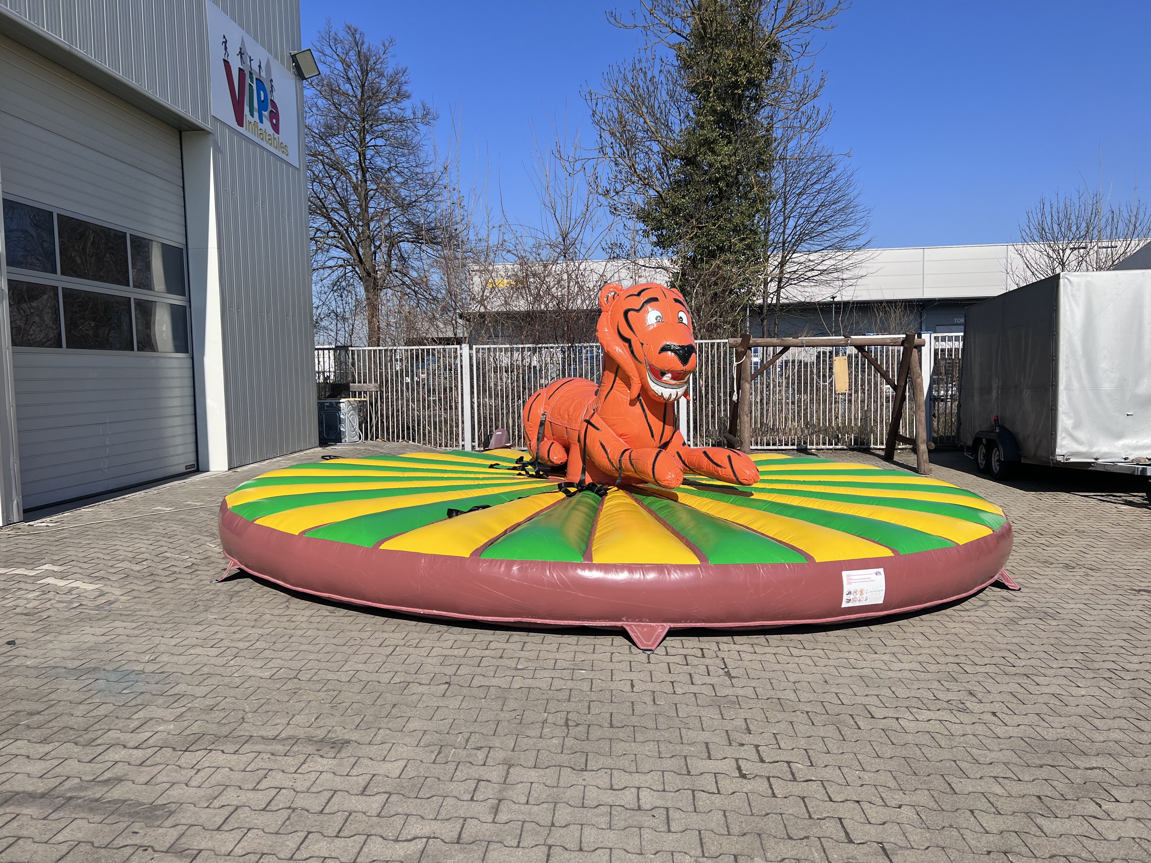 Rodeo Tiger Bild