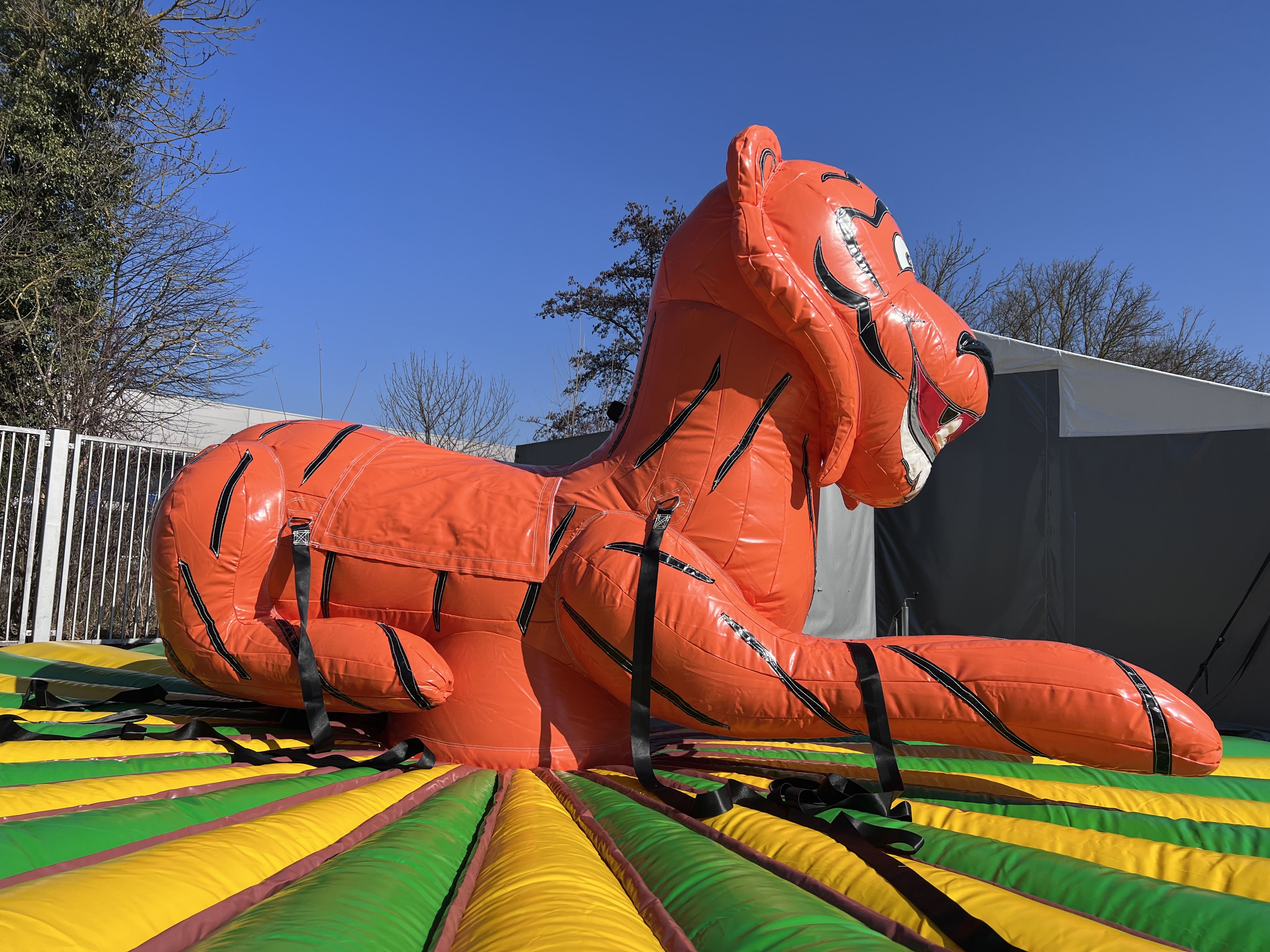 Rodeo Tiger Bild