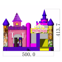 Multiplay Combo Standard Prinzessin Bild