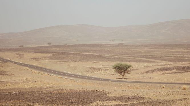 Hero image - 20210517 Marokko Solar Team Twente