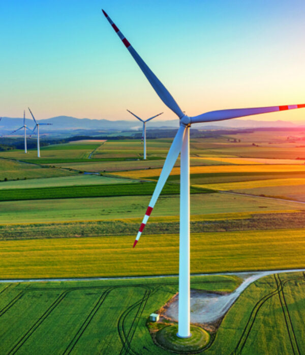 Windmolenes - VIRO EN