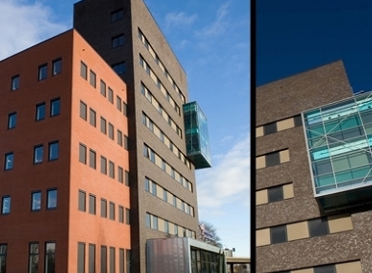 Project: VIRO vestigt zich in Groningen - VIRO NL/BE