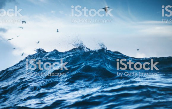 Background Image Viro Group