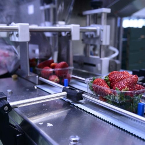 food industry - VIRO EN