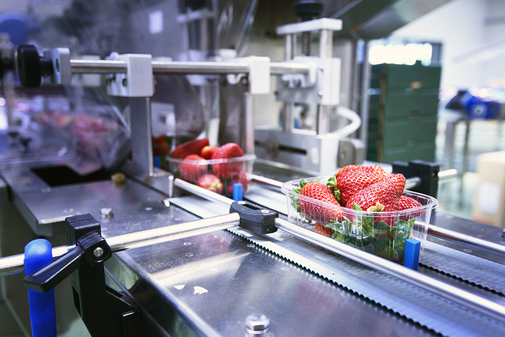 Hero image - Food i Stock 520181816 bewerkt kl 2 copy