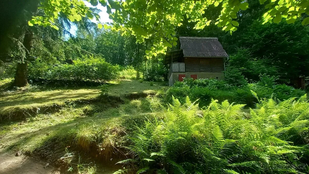 Fotografie nemovitosti: Prodej domu, Chata, 25 m², Pastviny