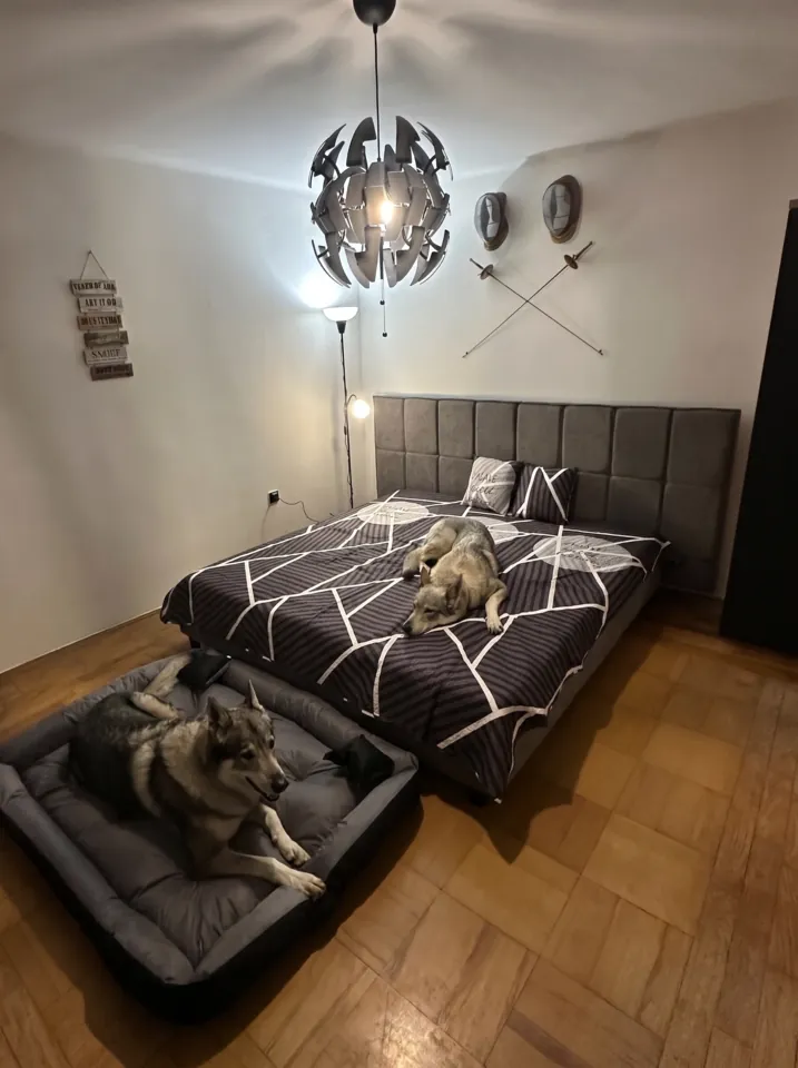 Fotografie nemovitosti: Prodej domu, Rodinný, 120 m², Trstěnice