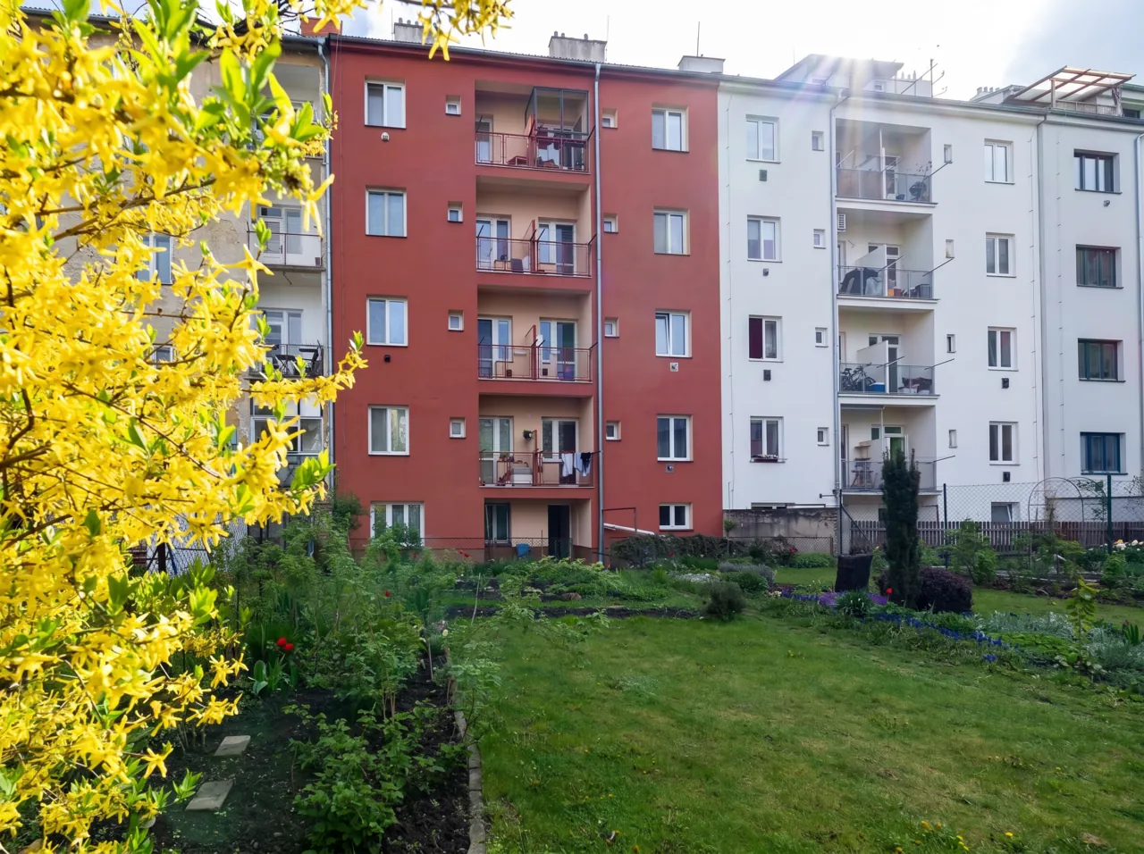 Fotografie nemovitosti: Prodej bytu, 2+1, 65 m², Brno