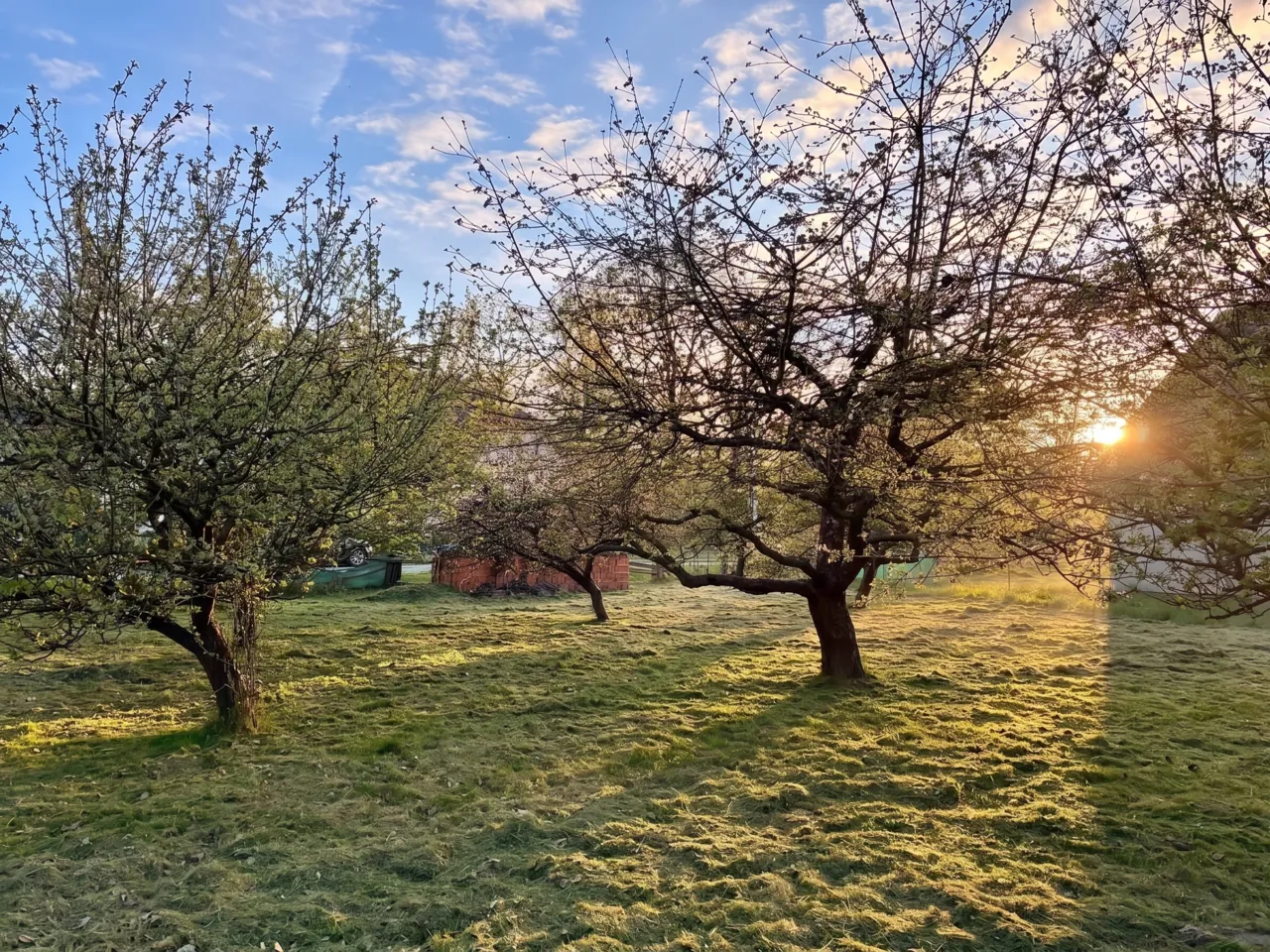 Fotografie nemovitosti: Prodej pozemku, Bydlení, Bartošovice