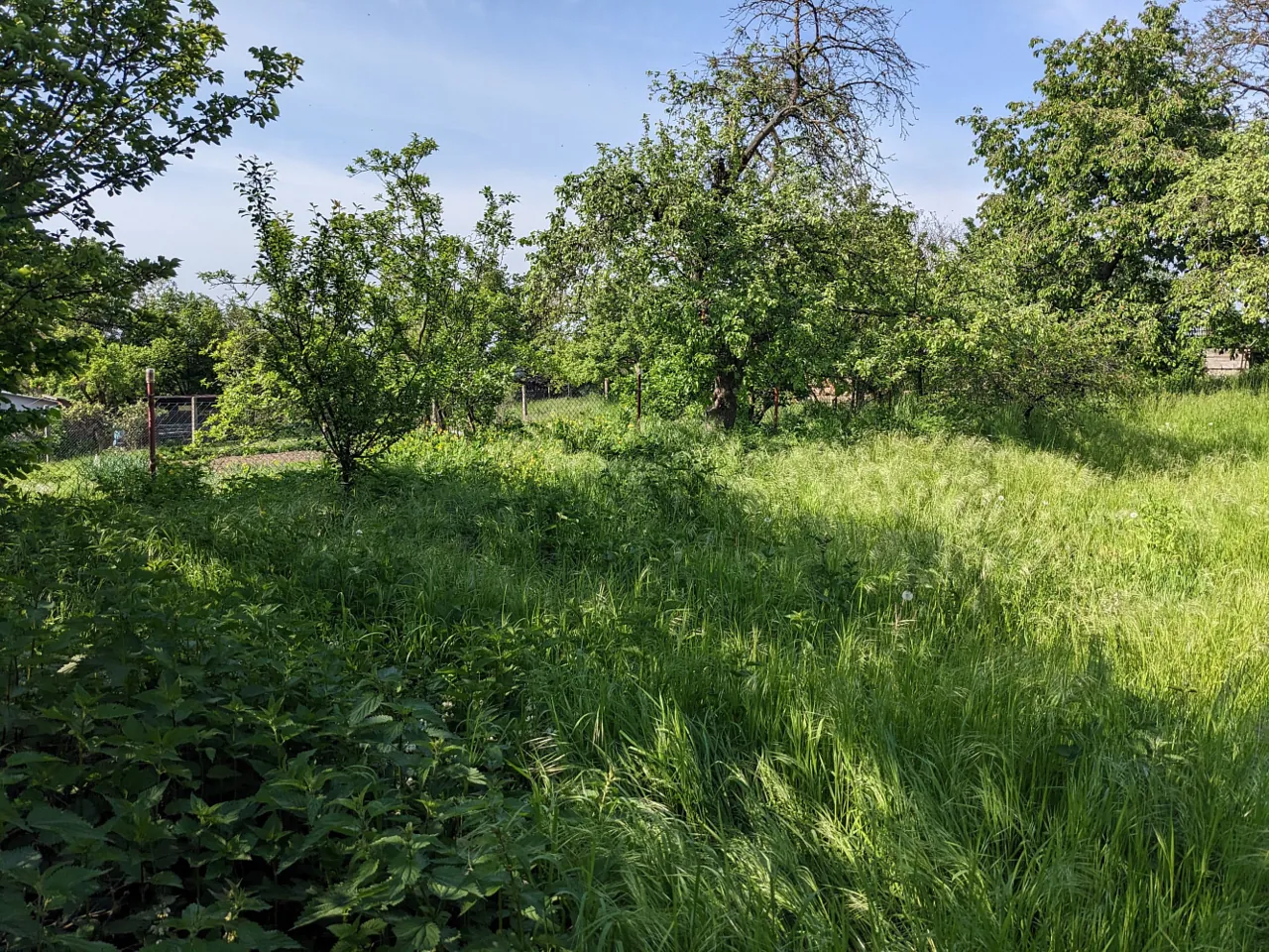 Fotografie nemovitosti: Prodej pozemku, Bydlení, Rybníček