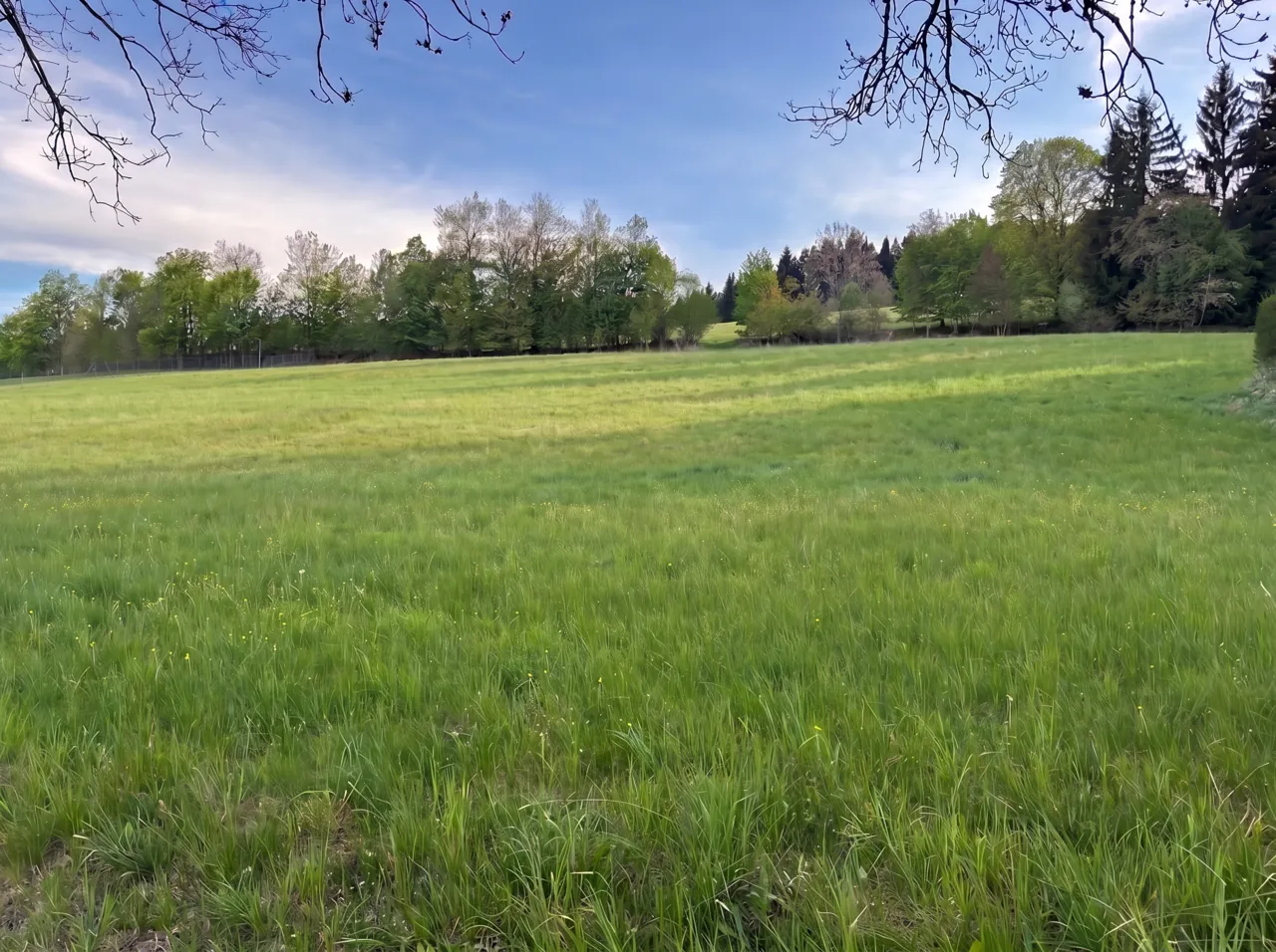 Fotografie nemovitosti: Prodej pozemku, Bydlení, 2138 m², Stachy