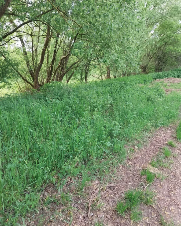 Fotografie nemovitosti: Prodej pozemku, Bydlení, Louny