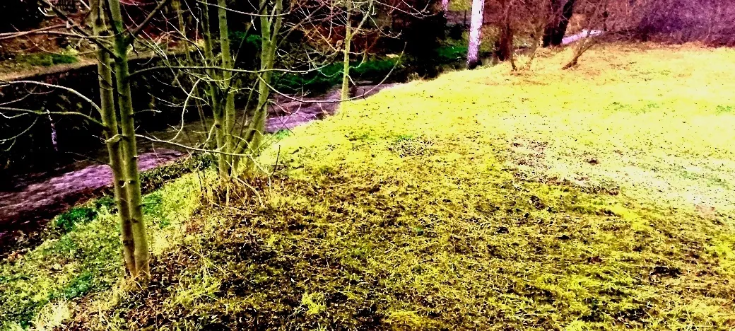 Fotografie nemovitosti: Prodej pozemku, Bydlení, Dolní Habartice