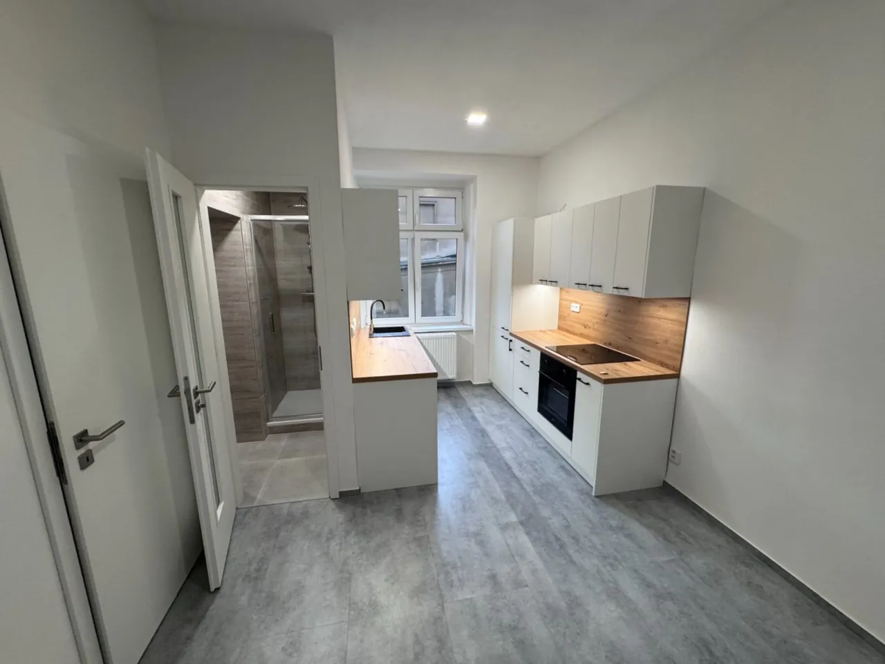 Fotografie nemovitosti: Pronájem bytu, 2+kk, 54 m², Ústí nad Labem