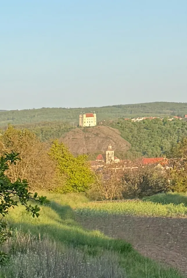 Fotografie nemovitosti: Prodej pozemku, Zahrada, Moravský Krumlov