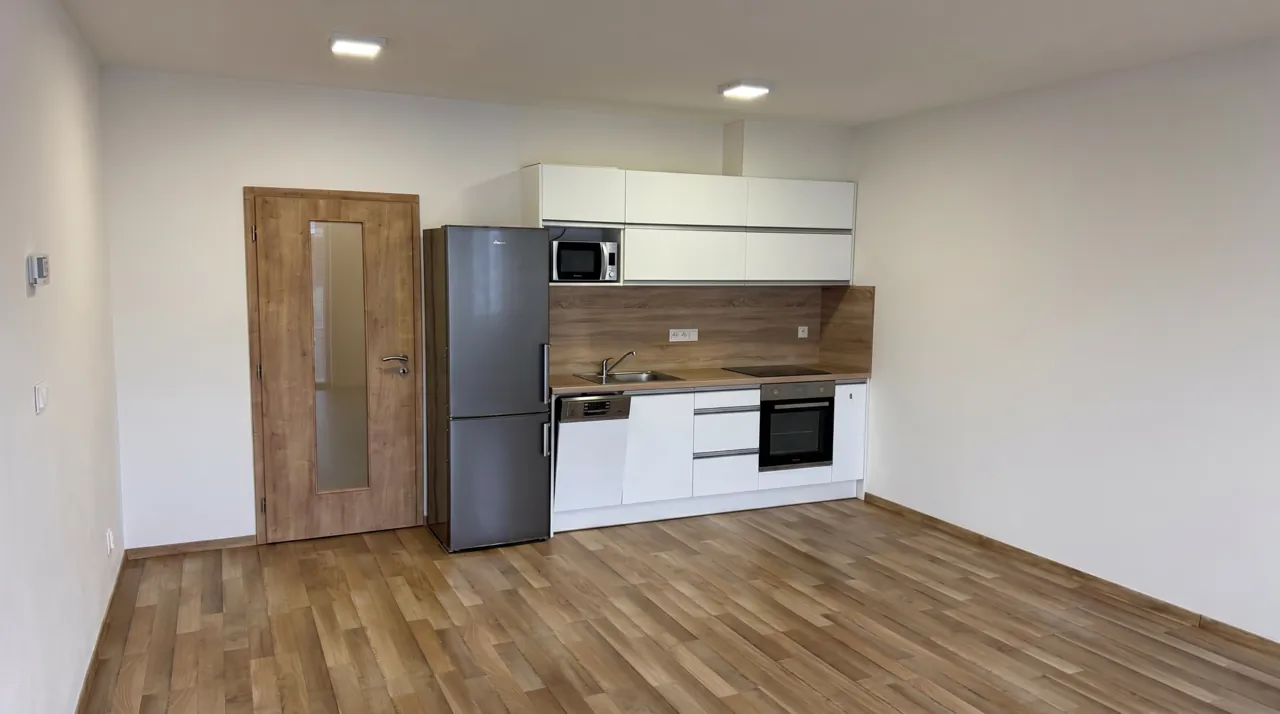 Fotografie nemovitosti: Pronájem bytu, 1+kk, 41 m², České Budějovice