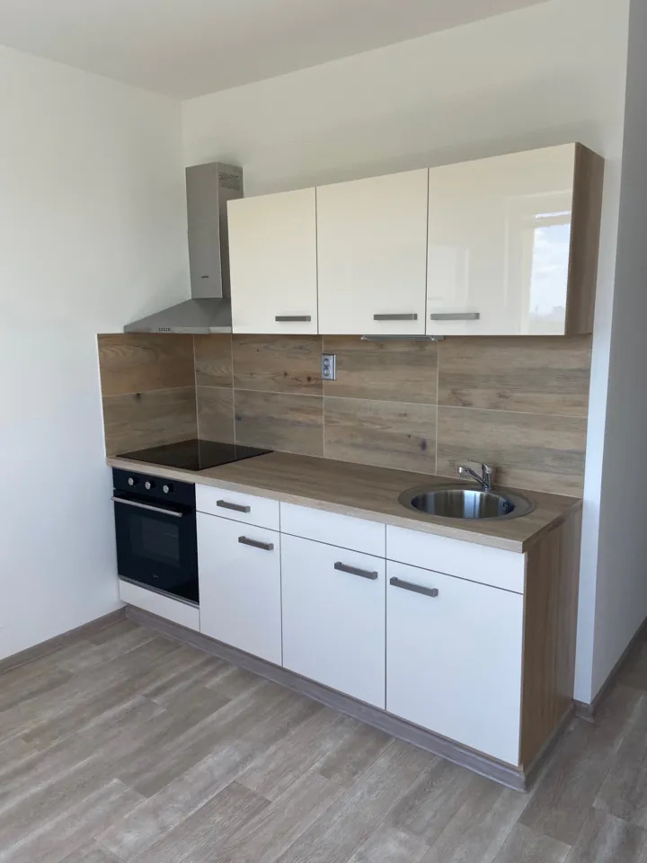 Fotografie nemovitosti: Pronájem bytu, 1+1, 35 m², Litvínov
