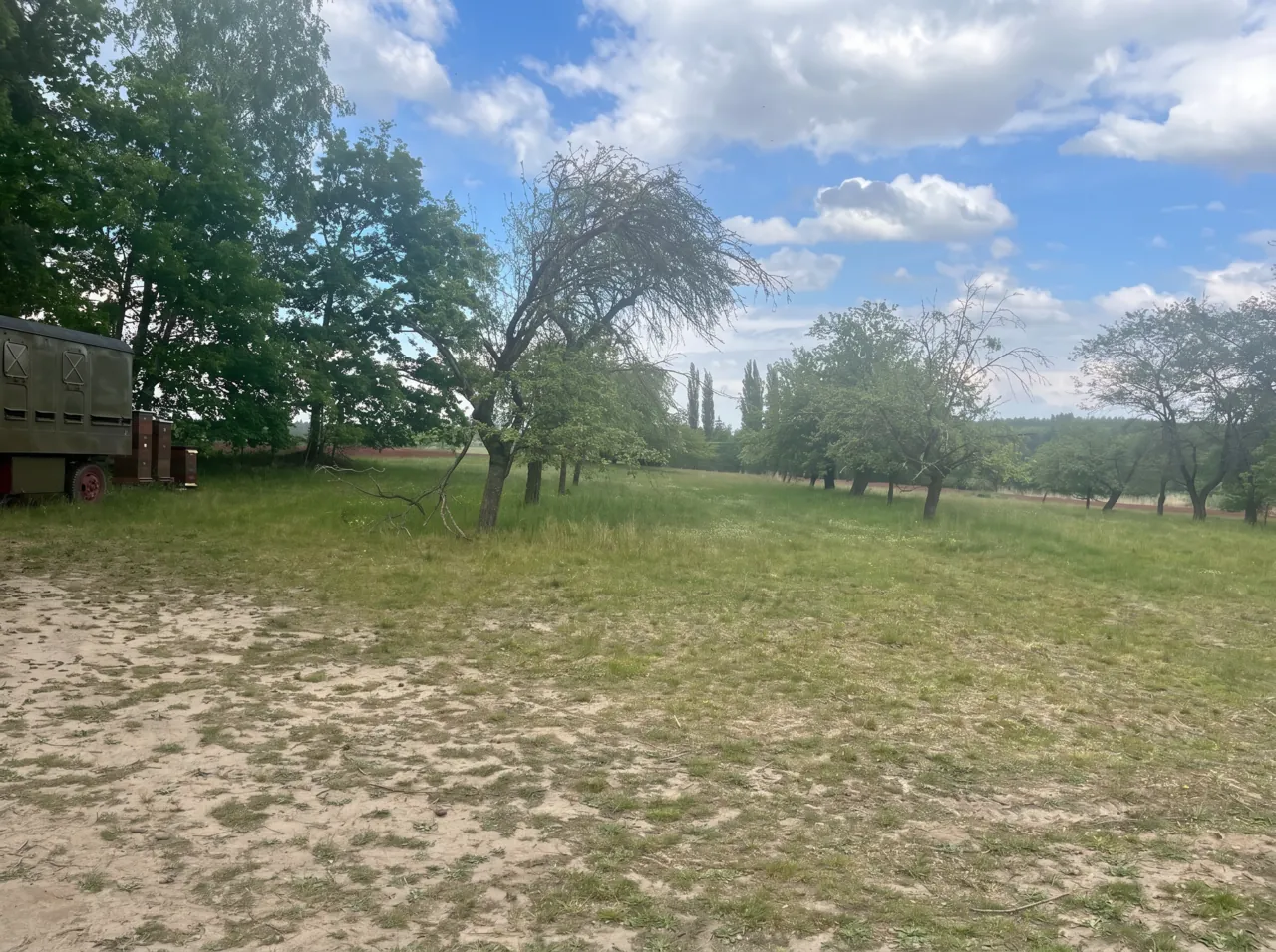 Fotografie nemovitosti: Prodej pozemku, Sad/vinice, Morašice