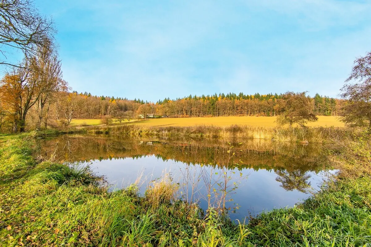 Fotografie nemovitosti: Prodej pozemku, Rybník, Klatovy