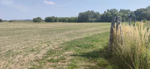 Fotografie nemovitosti: Šakvice