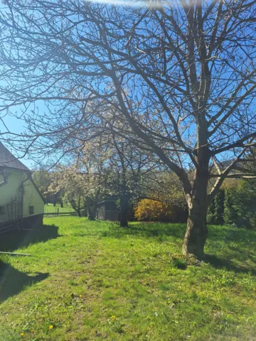 Fotografie nemovitosti: Vlčice