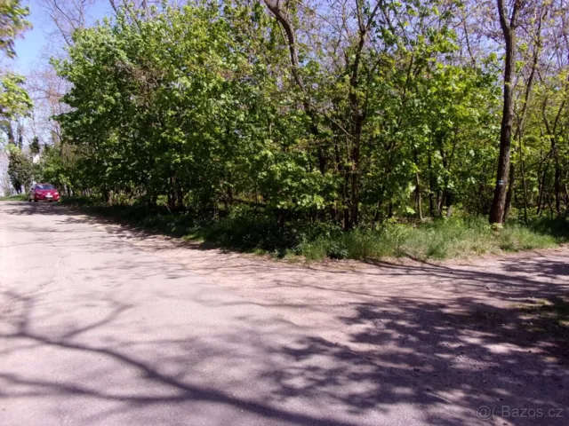 Fotografie nemovitosti: Lužice