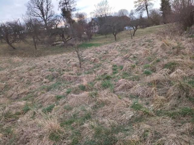 Fotografie nemovitosti: Horní Čermná