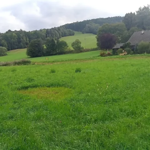Fotografie nemovitosti: Šumperk