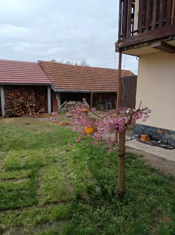 Fotografie nemovitosti: Dolní Újezd