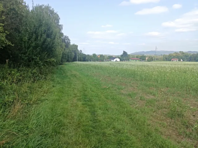 Fotografie nemovitosti: Nový Jičín