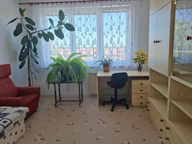Fotografie nemovitosti: Borovany