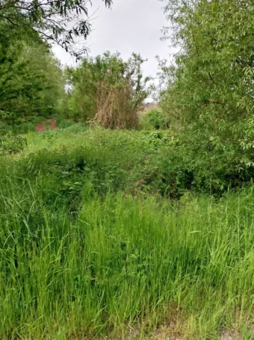 Fotografie nemovitosti: Louny