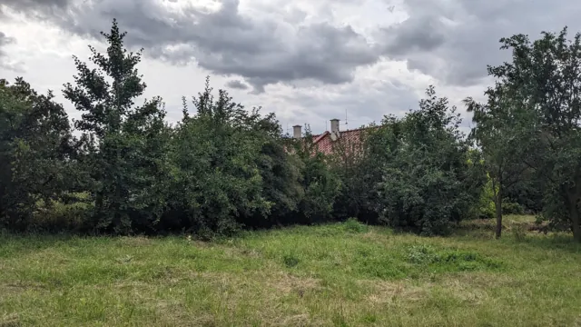 Fotografie nemovitosti: Rybníček