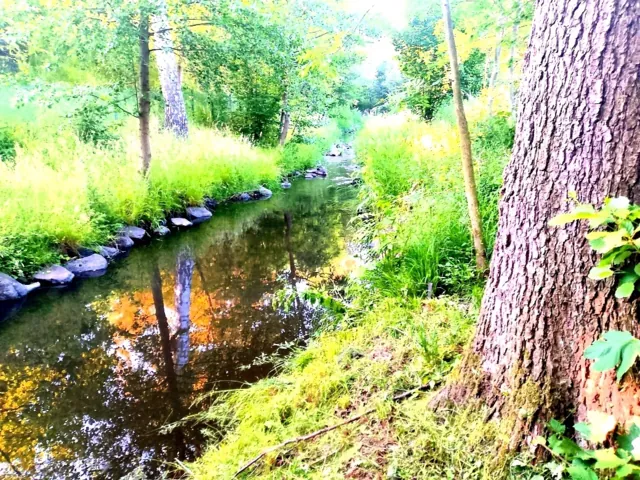 Fotografie nemovitosti: Dolní Habartice