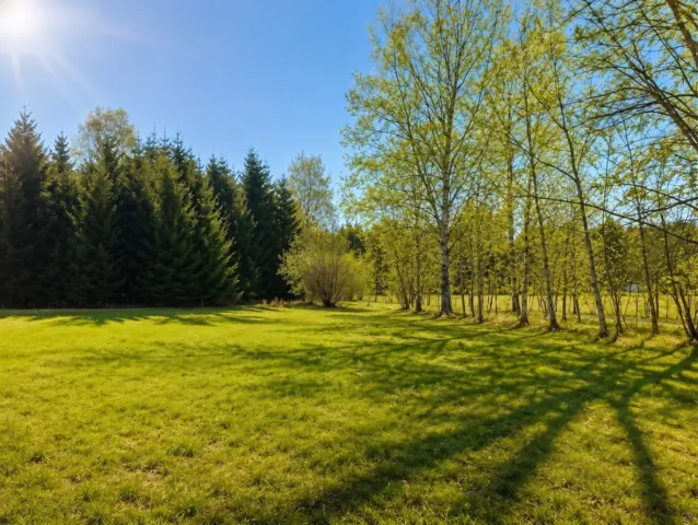 Fotografie nemovitosti: Křižánky